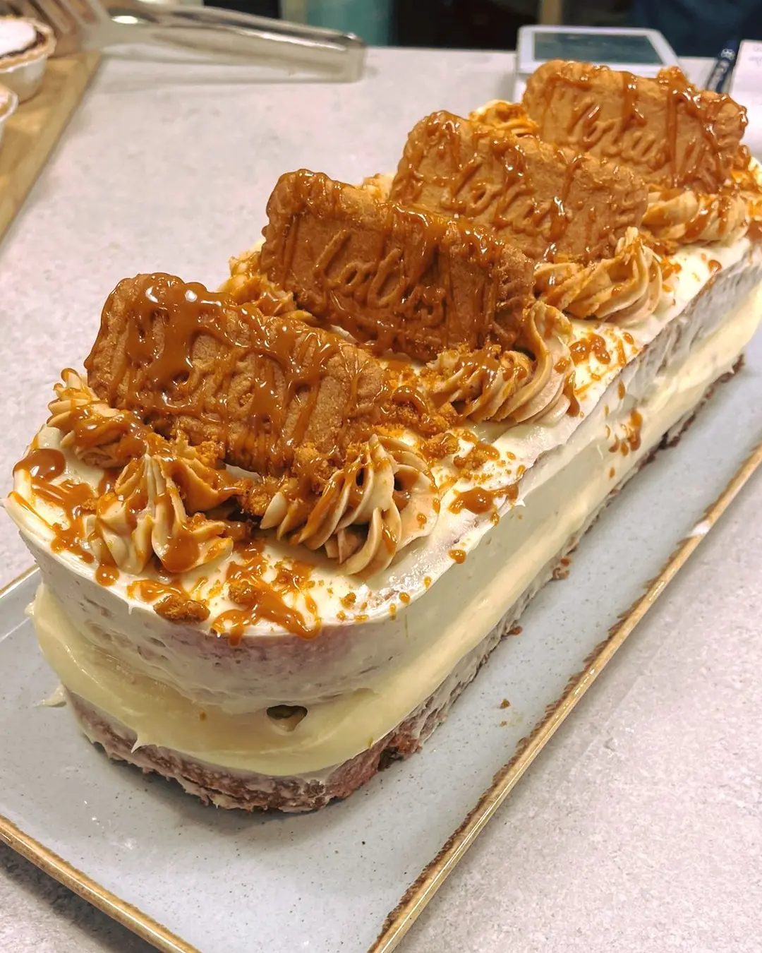 A slice of delicious layer cake displayed on MEO's counter.