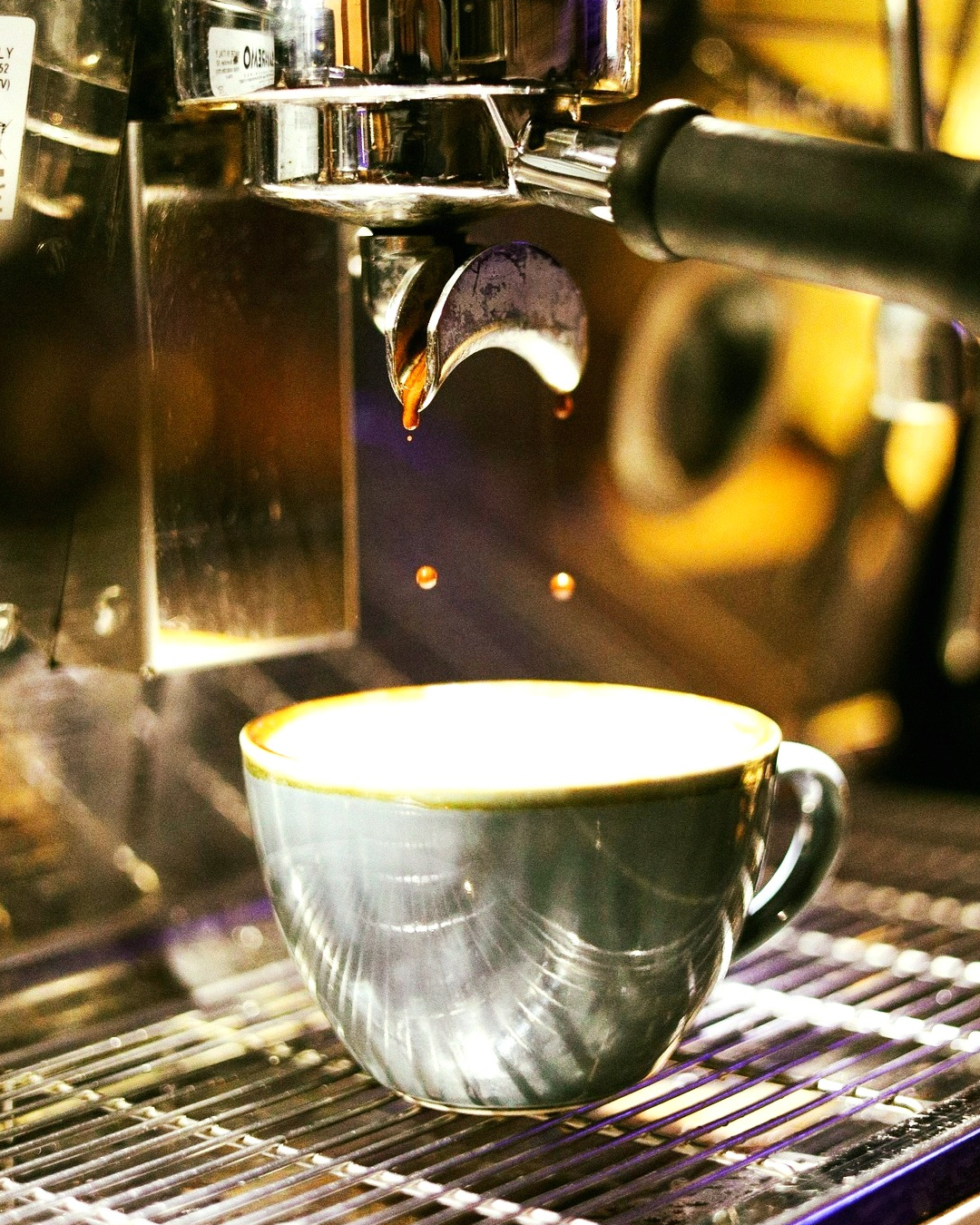 A shot of rich, organic espresso pouring from a coffee machine into a stylish cup at MEO.